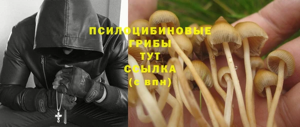 MESCALINE Баксан