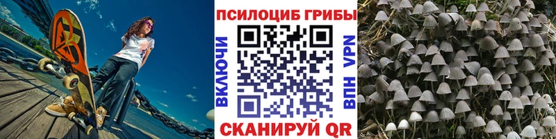 shop клад Льгов Псилоцибиновые грибы Psilocybe